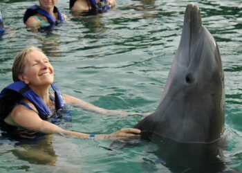 Trauma naszego świata - 05/2007