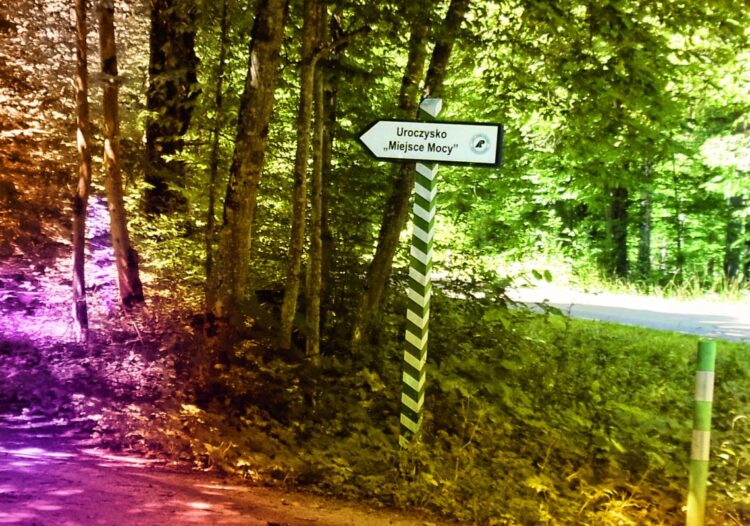 Uroczysko pełne mocy - NŚ 12/2022