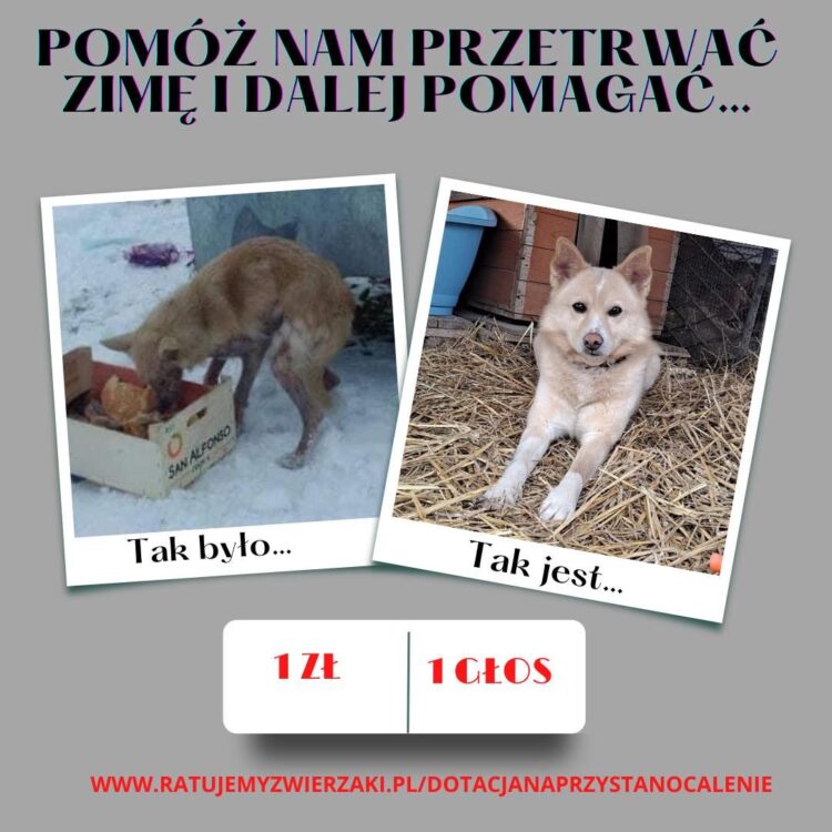 Łap dotację na organizacje!