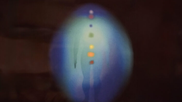 Fot. z archiwum autora