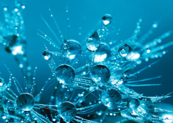 Nieznane oblicze wody. Czwarty stan skupienia