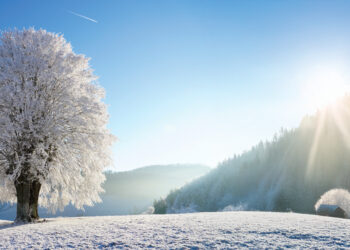 Fot. Hans, Pixabay.com