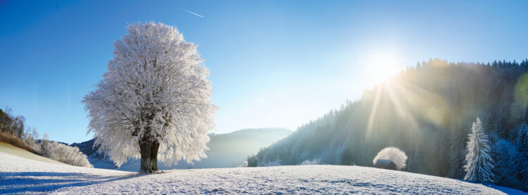 Fot. Hans, Pixabay.com