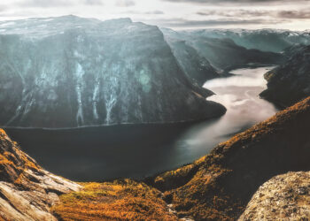 Fot. fxquadro, Freepik.com