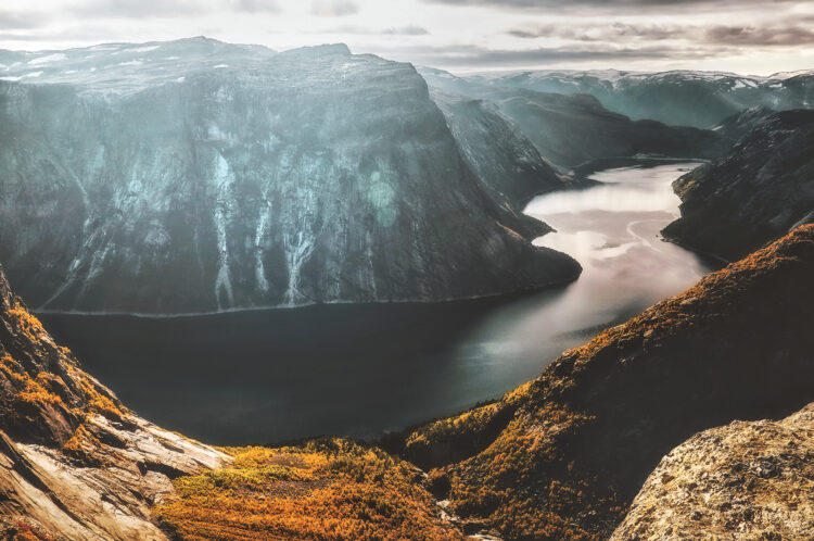 Fot. fxquadro, Freepik.com