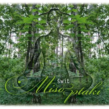MisoPtaki - Świt