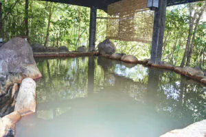 Onsen w ogrodzie, Kurokawa Onsen. Fot. Agnieszka Binek